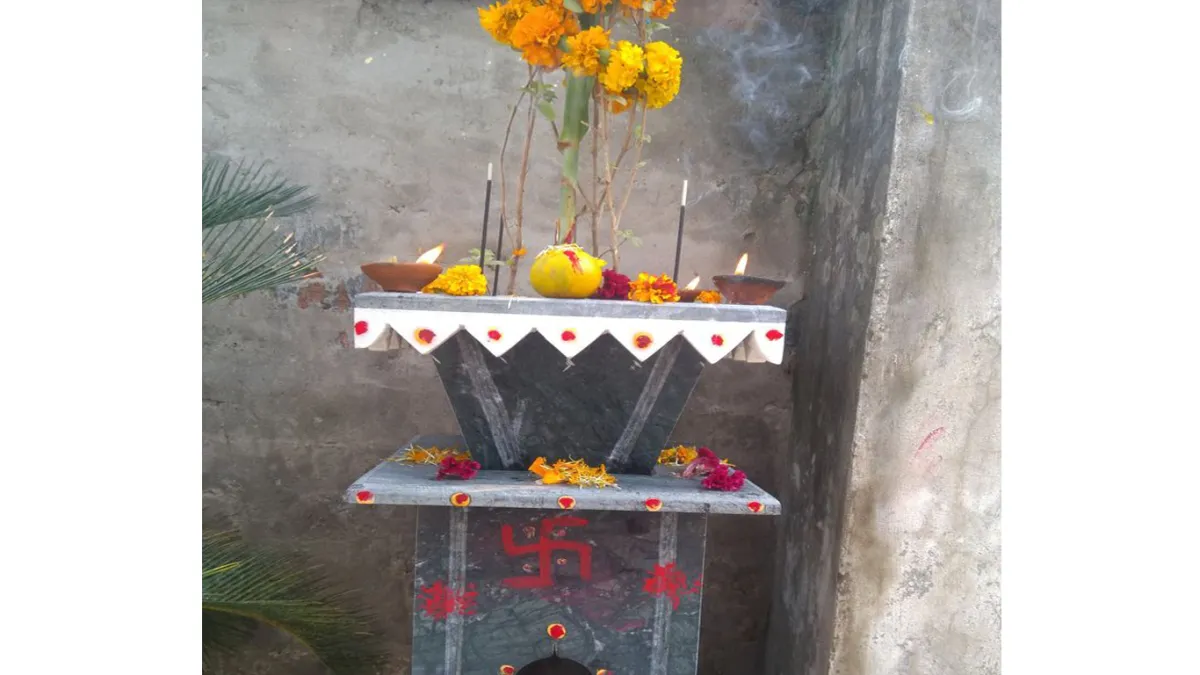 tulsi