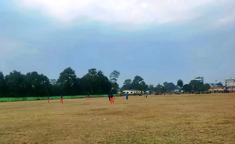 cricket