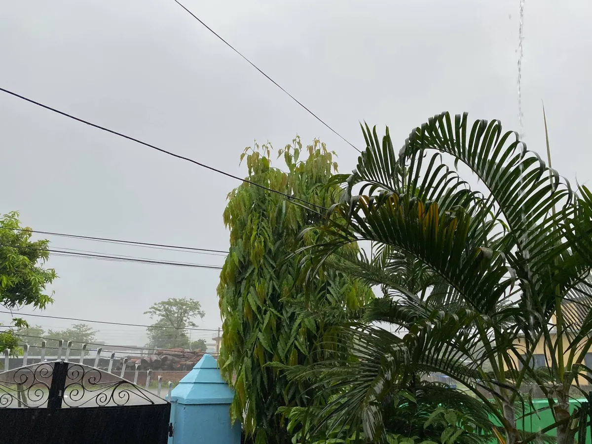 barsa